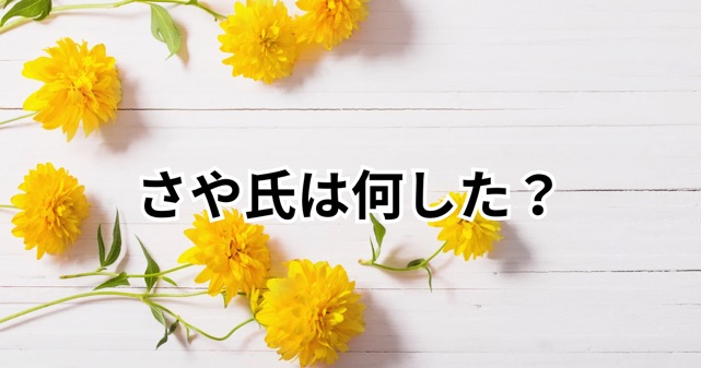 【さや氏】塩入清香は何した？炎上理由から話題の私生活までまるっと解説！