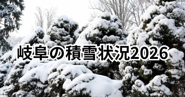 【岐阜県大雪速報】2026年1月25日現在の積雪状況・通行止め情報まとめ