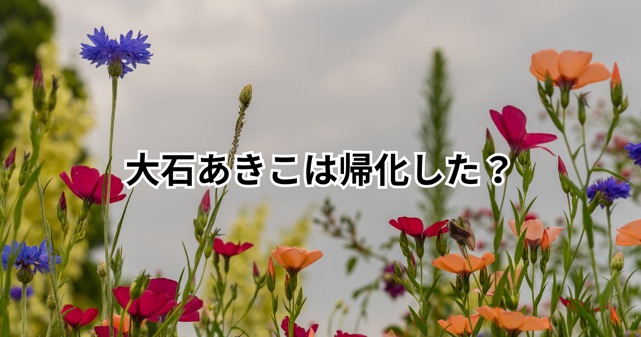 大石あきこは帰化した？国籍の真相と過去の炎上騒動を徹底整理