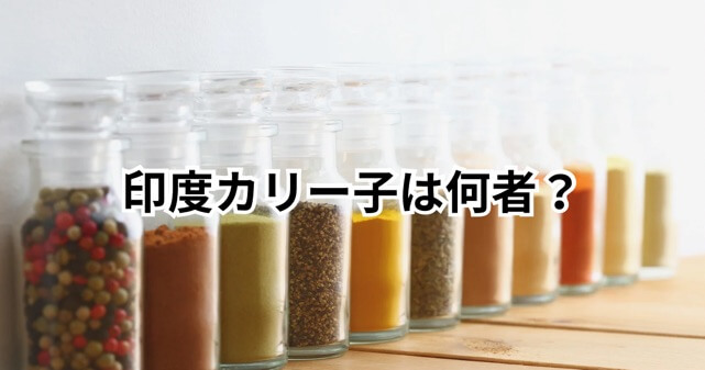印度カリー子は何者？本名や年齢、大学などプロフィールを調査