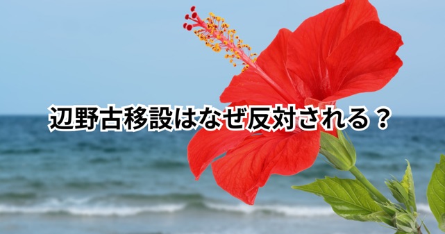 辺野古移設はなぜ反対される？理由をわかりやすく解説｜賛成意見との違いも整理