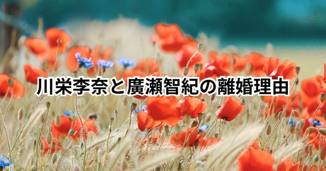 川栄李奈と廣瀬智紀が離婚した理由はなぜ?すれ違いの真相や結婚当初からの伏線を徹底解説