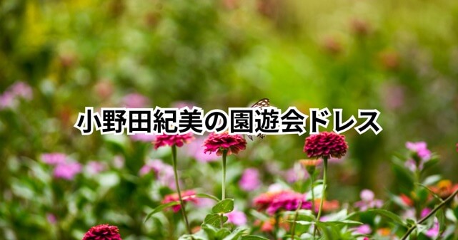 小野田紀美の園遊会ドレス画像が話題！ブランドはどこ？帽子やデイドレスの意味も解説