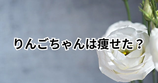 【画像】りんごちゃんが痩せた？ダイエット後の現在が別人級と話題に