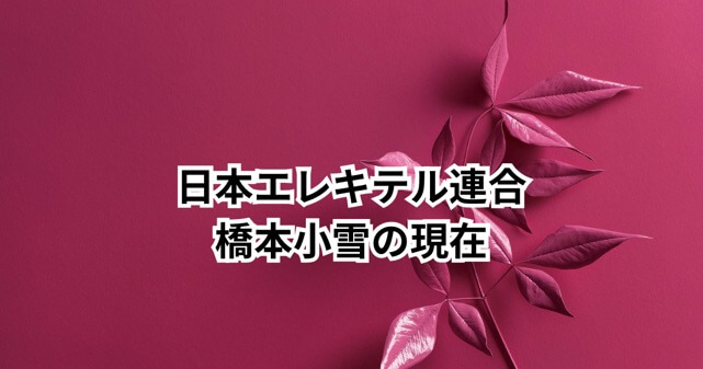 【画像】日本エレキテル連合・橋本小雪の現在は？消えたと言われる理由も解説