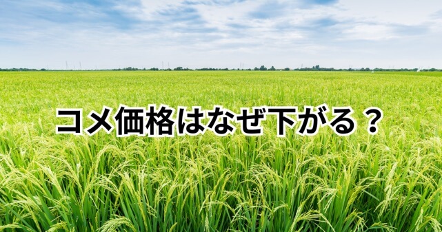 コメ価格はなぜ下がる？5キロ3000円割れの理由は在庫増と米離れか