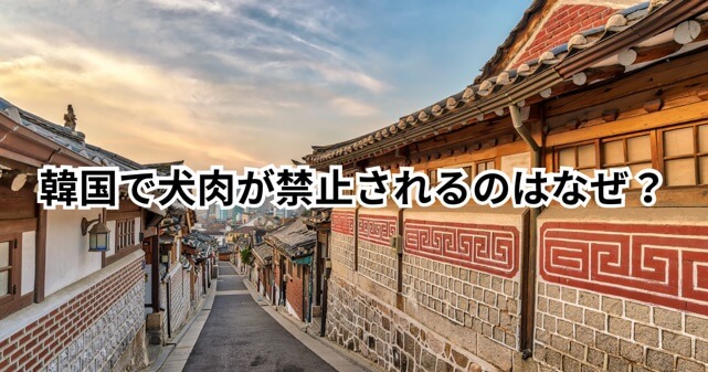 韓国で犬肉が禁止されるのはなぜ?いつから施行?理由や背景をわかりやすく解説