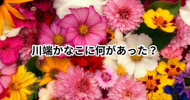 川端かなこに何があった?死亡説が広がった理由や現在わかっている情報を解説